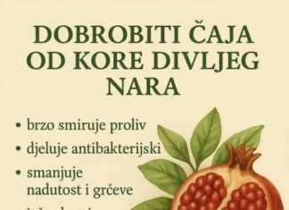 DOBROBITI ČAJA OD KORE DIVLJEG NARA DOBROBITI ČAJA OD KORE DIVLJEG NARA - featured image