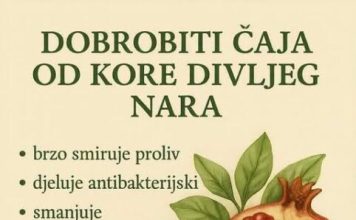 DOBROBITI ČAJA OD KORE DIVLJEG NARA DOBROBITI ČAJA OD KORE DIVLJEG NARA - featured image