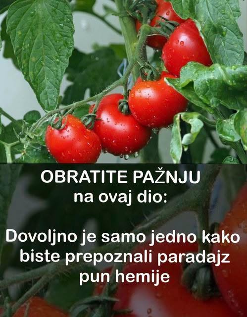 OBRATITE PAŽNJU na OVAJ dio: DOVOLJNO je samo JEDNO kako biste PREPOZNALI paradajz pun hemije - featured image OBRATITE PAŽNJU na OVAJ dio: DOVOLJNO je samo JEDNO kako biste PREPOZNALI paradajz pun hemije - featured image
