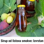 Sirup od listova smokve: Izvrstan napitak koji liječi tijelo Sirup od listova smokve: Izvrstan napitak koji liječi tijelo - featured image