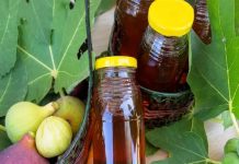 Sirup od listova smokve: Izvrstan napitak koji liječi tijelo Sirup od listova smokve: Izvrstan napitak koji liječi tijelo - featured image