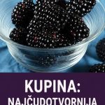 KUPINA: NAJČUDOTVORNIJA NAMIRNICA SVIJETA KUPINA: NAJČUDOTVORNIJA NAMIRNICA SVIJETA - featured image