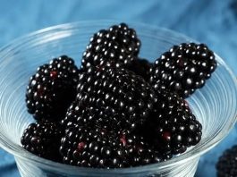 KUPINA: NAJČUDOTVORNIJA NAMIRNICA SVIJETA KUPINA: NAJČUDOTVORNIJA NAMIRNICA SVIJETA - featured image