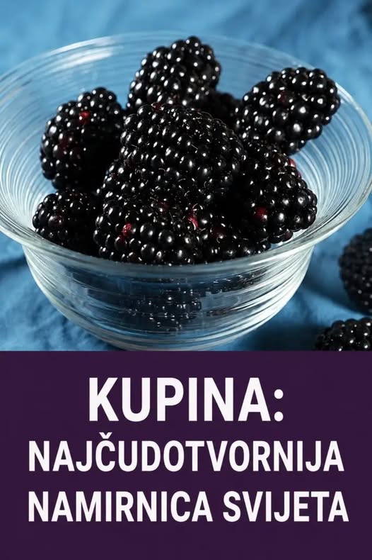 KUPINA: NAJČUDOTVORNIJA NAMIRNICA SVIJETA - featured image