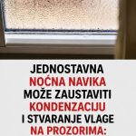 Jednostavna noćna navika može zaustaviti kondenzaciju i stvaranje vlage na prozorima: DA LI STE OVO ZNALI? Jednostavna noćna navika može zaustaviti kondenzaciju i stvaranje vlage na prozorima: DA LI STE OVO ZNALI? - featured image