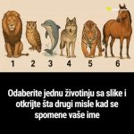 Odaberite jednu životinju sa slike i otkrijte šta drugi misle kad se spomene vaše ime Odaberite jednu životinju sa slike i otkrijte šta drugi misle kad se spomene vaše ime - featured image