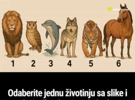 Odaberite jednu životinju sa slike i otkrijte šta drugi misle kad se spomene vaše ime Odaberite jednu životinju sa slike i otkrijte šta drugi misle kad se spomene vaše ime - featured image
