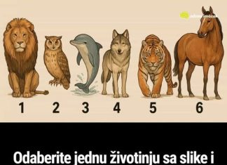 Odaberite jednu životinju sa slike i otkrijte šta drugi misle kad se spomene vaše ime Odaberite jednu životinju sa slike i otkrijte šta drugi misle kad se spomene vaše ime - featured image