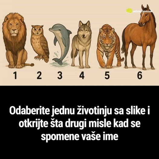 Odaberite jednu životinju sa slike i otkrijte šta drugi misle kad se spomene vaše ime - featured image
