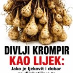 DIVLJI KROMPIR KAO LIJEK: Jako je ljekovit i dobar za dijabetičare te izbacuje vodu iz tijela… DIVLJI KROMPIR KAO LIJEK: Jako je ljekovit i dobar za dijabetičare te izbacuje vodu iz tijela… - featured image