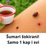Šumari šokirani! Samo 1 kap i svi krpelji me zaobilaze Šumari šokirani! Samo 1 kap i svi krpelji me zaobilaze - featured image