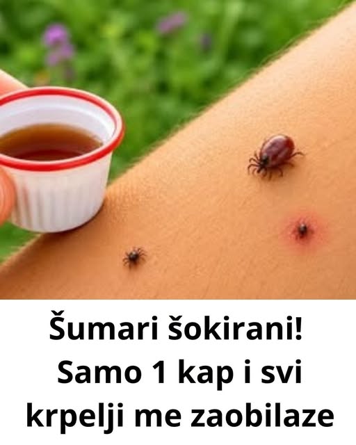 Šumari šokirani! Samo 1 kap i svi krpelji me zaobilaze - featured image Šumari šokirani! Samo 1 kap i svi krpelji me zaobilaze - featured image