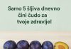 Da li ste znali koliko je zdravo pojesti samo 5 šljiva dnevno? Da li ste znali koliko je zdravo pojesti samo 5 šljiva dnevno? - featured image