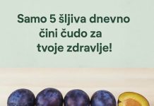 Da li ste znali koliko je zdravo pojesti samo 5 šljiva dnevno? Da li ste znali koliko je zdravo pojesti samo 5 šljiva dnevno? - featured image