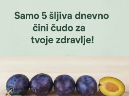 Da li ste znali koliko je zdravo pojesti samo 5 šljiva dnevno? Da li ste znali koliko je zdravo pojesti samo 5 šljiva dnevno? - featured image