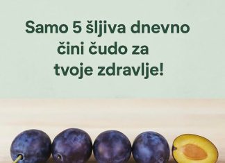 Da li ste znali koliko je zdravo pojesti samo 5 šljiva dnevno? Da li ste znali koliko je zdravo pojesti samo 5 šljiva dnevno? - featured image