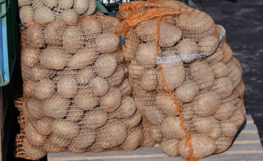 Deda je to uvijek bacao u kesu sa krompirom i izdržali su do sljedeće berbe: Ni jedan nije proklijao! (Foto) - featured image