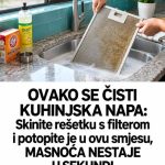 OVAKO SE ČISTI KUHINJSKA NAPA: Skinite rešetku s filterom i potopite je u ovu smjesu, MASNOĆA NESTAJE U SEKUNDI OVAKO SE ČISTI KUHINJSKA NAPA: Skinite rešetku s filterom i potopite je u ovu smjesu, MASNOĆA NESTAJE U SEKUNDI - featured image