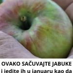OVAKO SAČUVAJTE JABUKE i jedite ih u januaru kao da su tek ubrate OVAKO SAČUVAJTE JABUKE i jedite ih u januaru kao da su tek ubrate - featured image