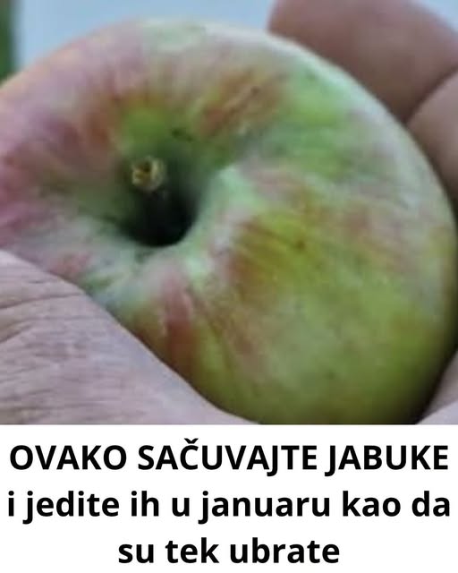 OVAKO SAČUVAJTE JABUKE i jedite ih u januaru kao da su tek ubrate - featured image OVAKO SAČUVAJTE JABUKE i jedite ih u januaru kao da su tek ubrate - featured image