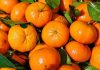 Čuvajte svoje zdravlje: EVO ZAŠTO TREBATE JESTI MANDARINE – Ovo je samo nekoliko dobrih razloga Čuvajte svoje zdravlje: EVO ZAŠTO TREBATE JESTI MANDARINE – Ovo je samo nekoliko dobrih razloga - featured image