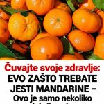 Čuvajte svoje zdravlje: EVO ZAŠTO TREBATE JESTI MANDARINE – Ovo je samo nekoliko dobrih razloga Čuvajte svoje zdravlje: EVO ZAŠTO TREBATE JESTI MANDARINE – Ovo je samo nekoliko dobrih razloga - featured image