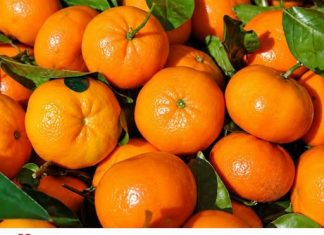 Čuvajte svoje zdravlje: EVO ZAŠTO TREBATE JESTI MANDARINE – Ovo je samo nekoliko dobrih razloga Čuvajte svoje zdravlje: EVO ZAŠTO TREBATE JESTI MANDARINE – Ovo je samo nekoliko dobrih razloga - featured image
