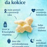 JESTE LI ZNALI KOLIKO SU KOKICE ZDRAVE? JESTE LI ZNALI KOLIKO SU KOKICE ZDRAVE? - featured image
