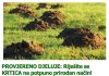 PROVJERENO DJELUJE: Riješite se KRTICA na potpuno prirodan način! PROVJERENO DJELUJE: Riješite se KRTICA na potpuno prirodan način! - featured image