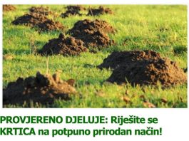 PROVJERENO DJELUJE: Riješite se KRTICA na potpuno prirodan način! PROVJERENO DJELUJE: Riješite se KRTICA na potpuno prirodan način! - featured image
