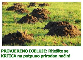 PROVJERENO DJELUJE: Riješite se KRTICA na potpuno prirodan način! PROVJERENO DJELUJE: Riješite se KRTICA na potpuno prirodan način! - featured image