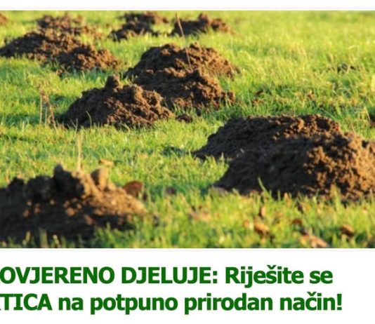 PROVJERENO DJELUJE: Riješite se KRTICA na potpuno prirodan način! PROVJERENO DJELUJE: Riješite se KRTICA na potpuno prirodan način! - featured image