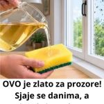 OVO je zlato za prozore! Sjaje se danima, a insekti ne ulaze OVO je zlato za prozore! Sjaje se danima, a insekti ne ulaze - featured image