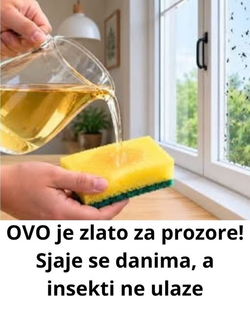 OVO je zlato za prozore! Sjaje se danima, a insekti ne ulaze - featured image