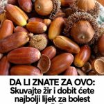 DA LI ZNATE ZA OVO: Skuvajte žir i dobit ćete najbolji lijek za bolest današnjice DA LI ZNATE ZA OVO: Skuvajte žir i dobit ćete najbolji lijek za bolest današnjice - featured image