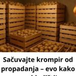 Sačuvajte krompir od propadanja – evo kako se skladišti! Sačuvajte krompir od propadanja – evo kako se skladišti! - featured image
