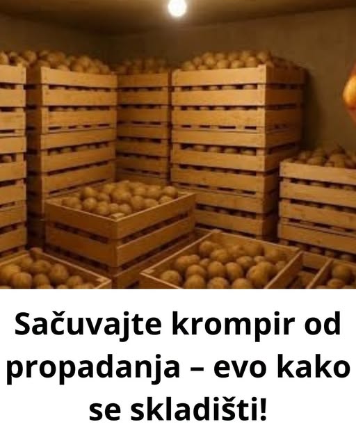 Sačuvajte krompir od propadanja – evo kako se skladišti! - featured image