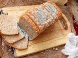 Nikako ne kupujte sečeni hleb u kesi: Evo na šta treba da obratite pažnju Nikako ne kupujte sečeni hleb u kesi: Evo na šta treba da obratite pažnju - featured image