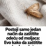 Postoji samo jedan način da zaštitite odeću od moljaca: Evo kako da zaštitite zimsku odeću Postoji samo jedan način da zaštitite odeću od moljaca: Evo kako da zaštitite zimsku odeću - featured image