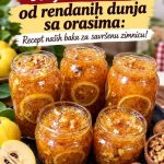 Najbrže slatko od rendanih dunja sa orasima: Recept naših baka za savršenu zimnicu! Najbrže slatko od rendanih dunja sa orasima: Recept naših baka za savršenu zimnicu! - featured image
