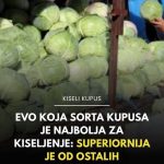 Evo koja sorta kupusa je najbolja za kiseljenje: Superiornija je od ostalih Evo koja sorta kupusa je najbolja za kiseljenje: Superiornija je od ostalih - featured image