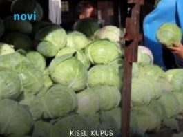Evo koja sorta kupusa je najbolja za kiseljenje: Superiornija je od ostalih Evo koja sorta kupusa je najbolja za kiseljenje: Superiornija je od ostalih - featured image