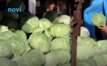 Evo koja sorta kupusa je najbolja za kiseljenje: Superiornija je od ostalih Evo koja sorta kupusa je najbolja za kiseljenje: Superiornija je od ostalih - featured image