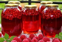 LIJEČI ŽENSKE TEGOBE, ČUVA SRCE: Prirodni lijek od maline – upute za pripremu LIJEČI ŽENSKE TEGOBE, ČUVA SRCE: Prirodni lijek od maline – upute za pripremu - featured image