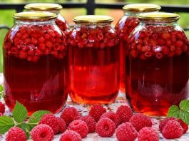 LIJEČI ŽENSKE TEGOBE, ČUVA SRCE: Prirodni lijek od maline – upute za pripremu LIJEČI ŽENSKE TEGOBE, ČUVA SRCE: Prirodni lijek od maline – upute za pripremu - featured image