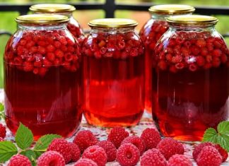 LIJEČI ŽENSKE TEGOBE, ČUVA SRCE: Prirodni lijek od maline – upute za pripremu LIJEČI ŽENSKE TEGOBE, ČUVA SRCE: Prirodni lijek od maline – upute za pripremu - featured image
