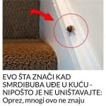 EVO ŠTA ZNAČI KAD SMRDIBUBA UĐE U KUĆU – NIPOŠTO JE NE UNIŠTAVAJTE EVO ŠTA ZNAČI KAD SMRDIBUBA UĐE U KUĆU – NIPOŠTO JE NE UNIŠTAVAJTE - featured image